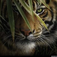 Андрей Поповкин