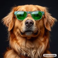 Владислав Барабанов