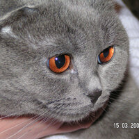 Василий Анатольевич