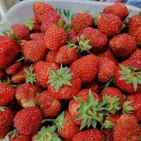 Кухтина Наталия