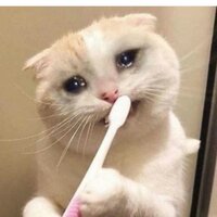 Азалия Насырова