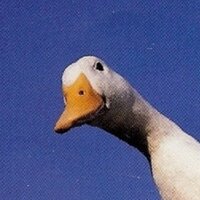 Большой Телескоп