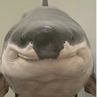 Дмитрий Ковалев