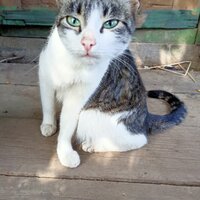 Виктор Вдовин