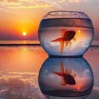 Каролина Воронцова