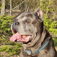 Сергей Симонов