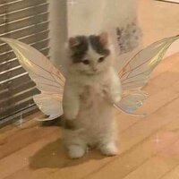 Арина Сотникова