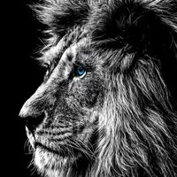 Аскар Ахтямов