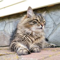 Кристиан Д.