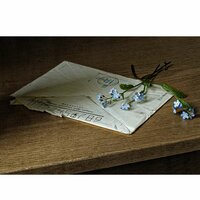 Владимир Ш.