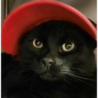 Миша Воронин