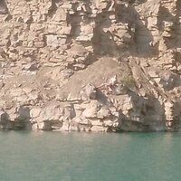 Роман Соломатин