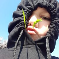 Миша Алексеенко