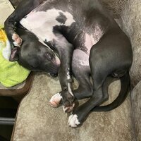 Александр В.