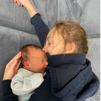 Василек Кубик