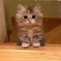 Анютка