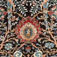 Албанова Д.