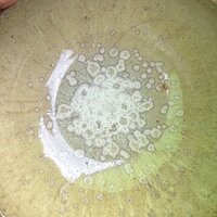 Екатерина Калюжная