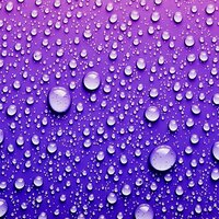 Марина Николаевна