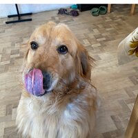 Александр Галко