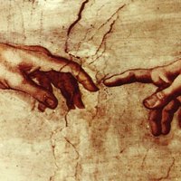 Марина Никитина