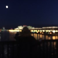 Твоя Гордость