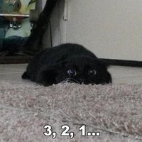 Александр Рыжкин