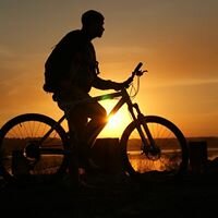 Себастьян Перейра - торговец черным деревом