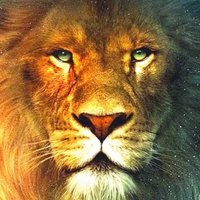 Станислав Т.