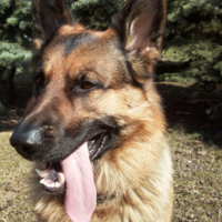 Александр Григорьевич