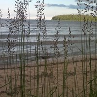 Юлия Архипова