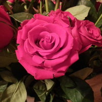 Валерия Токарева