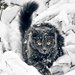 Татьяна Иванова