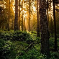 Глеб Новиков