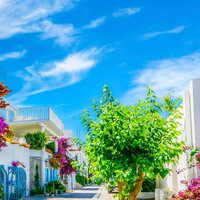 Екатерина И.