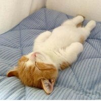 Настя Митряхина