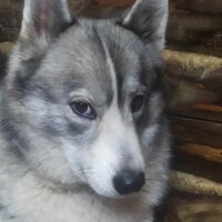 Наталья Карпаева