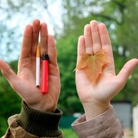 Саша Простакова