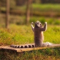 Антон Шабанов