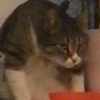 Евдокия Иванова