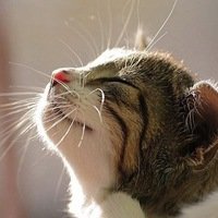 Ольга Тупина