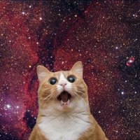 Юрий Сергеев