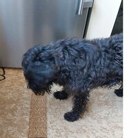 Олег в Ауте