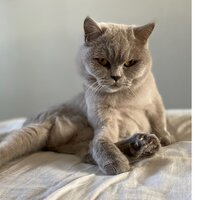 Наталья Евдокимова