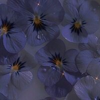 Арина Будьздоровенко