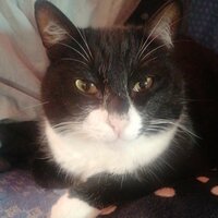 Лена Катаева