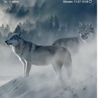 Георгий Шанидзе