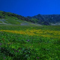 Ангелина Бровченко