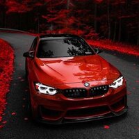 Сергей Зубковский