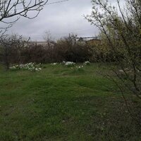 Яна Кондратьева